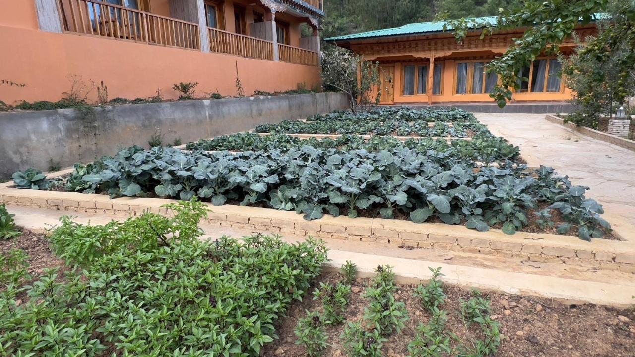 פארו Rema Resort מראה חיצוני תמונה